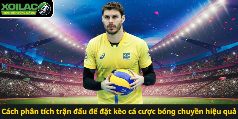 Cách phân tích trận đấu để đặt kèo cá cược bóng chuyền hiệu quả
